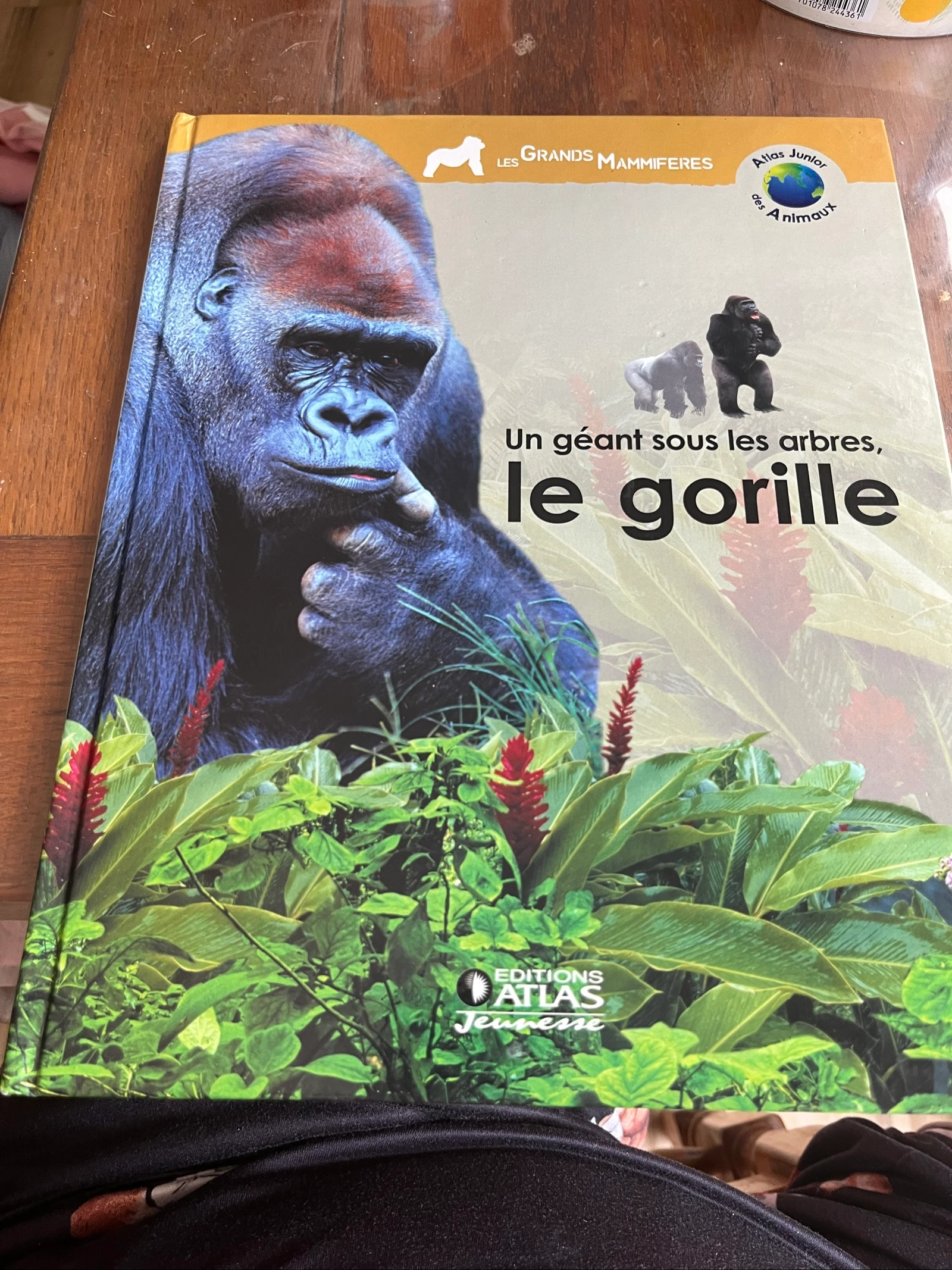 Livre Atlas Junior des Animaux - Le gorille